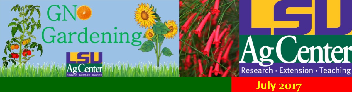 GNO Gardening July 2017 Newsletter